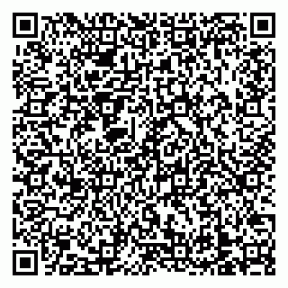 vCard 79138303403
