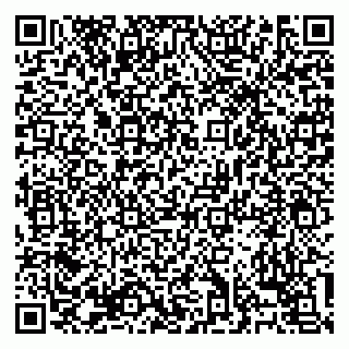 vCard 79138303405