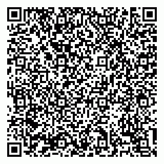 vCard 79138303406