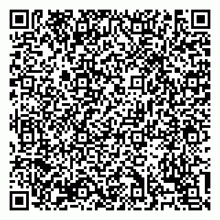 vCard 79138303407