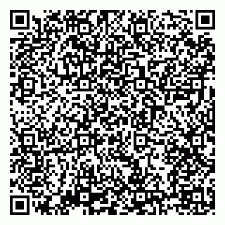 vCard 79138303408