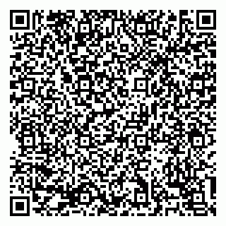 vCard 79138303409