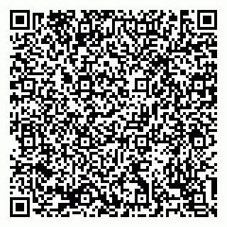 vCard 79138303410