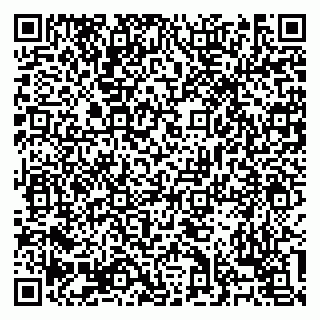 vCard 79138303411