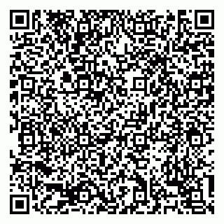 vCard 79138303412