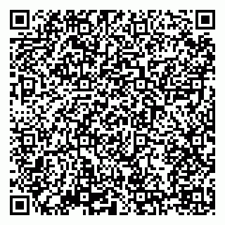 vCard 79138303413