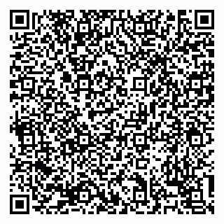 vCard 79138303414