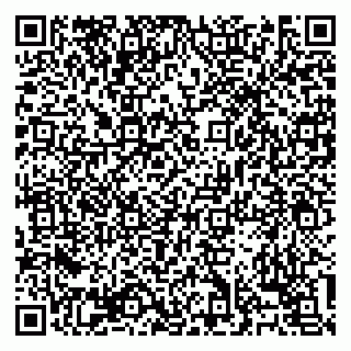 vCard 79138303415