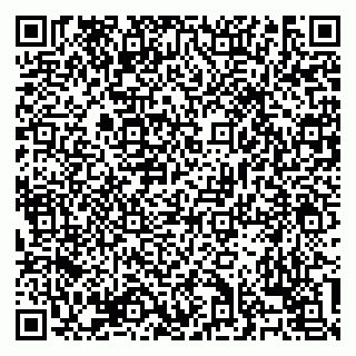 vCard 79138303417