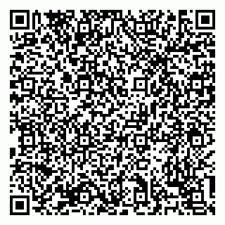 vCard 79138303418