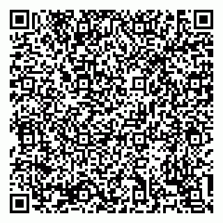 vCard 79138303419