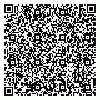 vCard 79138303420