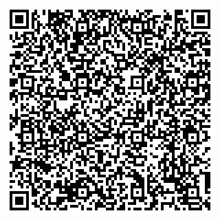 vCard 79138303421