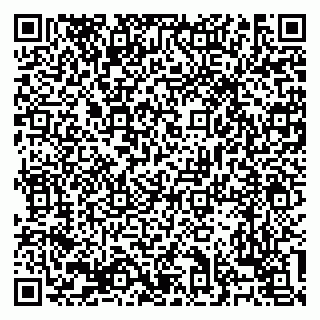 vCard 79138303424