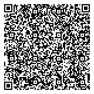 vCard 79138303425