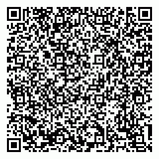 vCard 79138303427