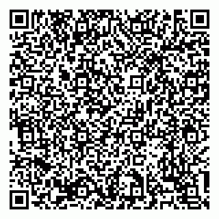 vCard 79138303428