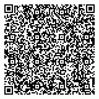 vCard 79138303431