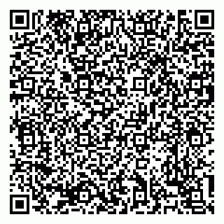 vCard 79138303432