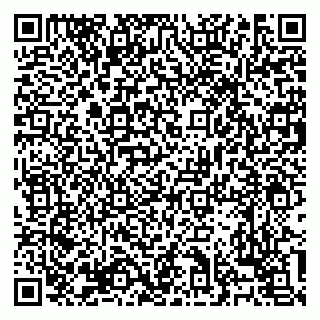 vCard 79138303433