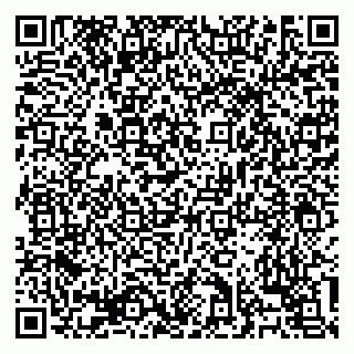 vCard 79138303441