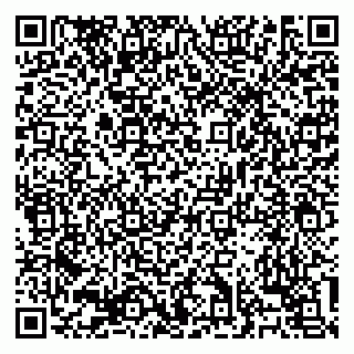 vCard 79138303445