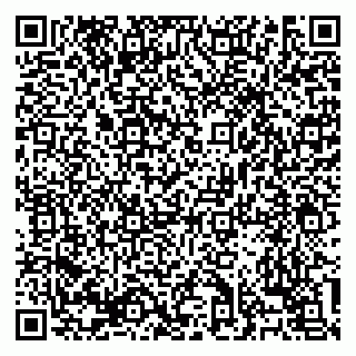 vCard 79138303447
