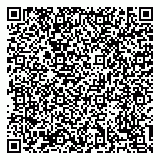 vCard 79138303449