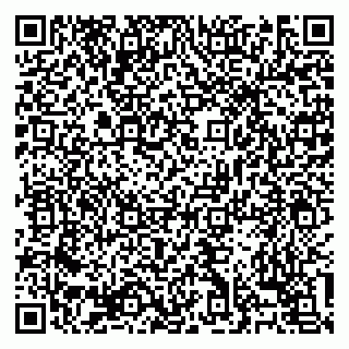 vCard 79138303450