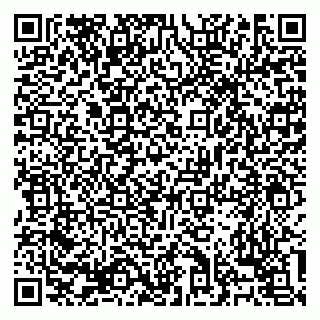 vCard 79138303451