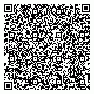 vCard 79138303453