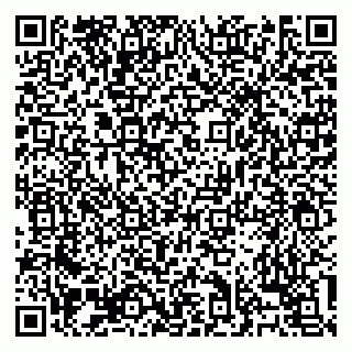 vCard 79138303454