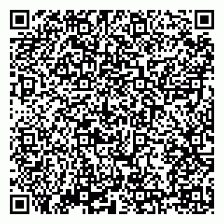 vCard 79138303455