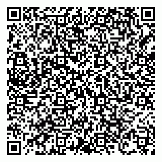 vCard 79138303456