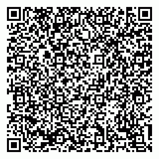 vCard 79138303459