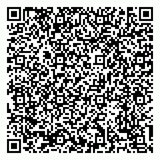 vCard 79138303460