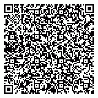 vCard 79138303461