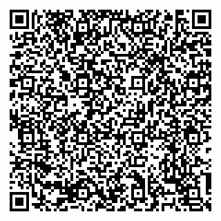 vCard 79138303463