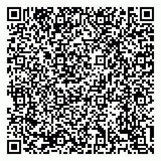 vCard 79138303465