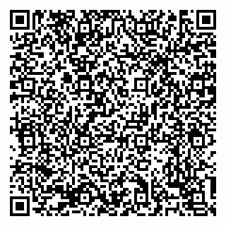 vCard 79138303471