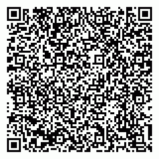 vCard 79138303473