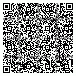 vCard 79138303475