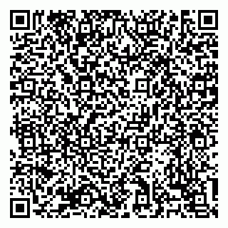 vCard 79138303476