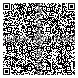 vCard 79138303477