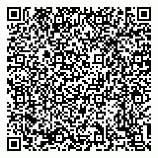 vCard 79138303478