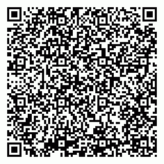 vCard 79138303479