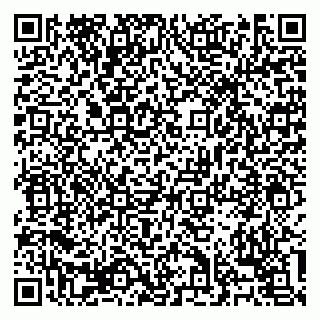 vCard 79138303481