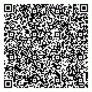 vCard 79138303482