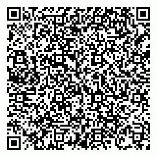 vCard 79138303483
