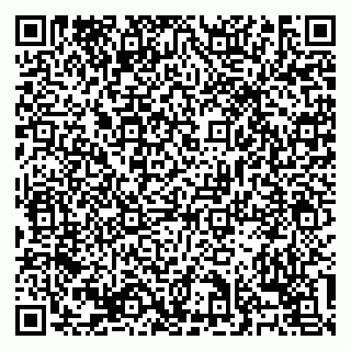 vCard 79138303484